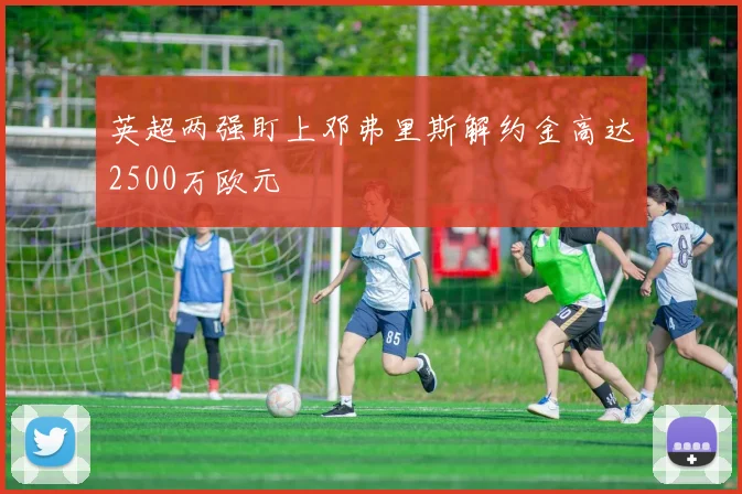 英超两强盯上邓弗里斯解约金高达2500万欧元