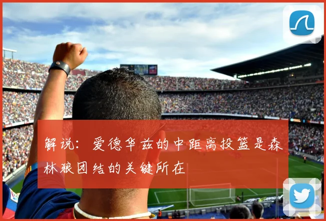 解说：爱德华兹的中距离投篮是森林狼团结的关键所在