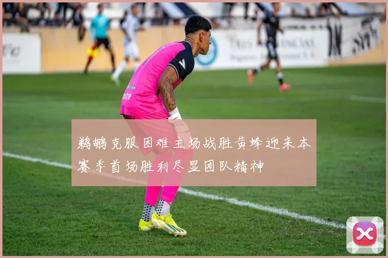 鹈鹕克服困难主场战胜黄蜂迎来本赛季首场胜利尽显团队精神